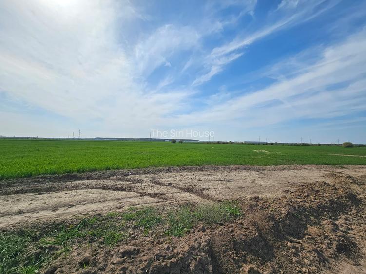 Teren A0 Afumați: 3303-7.569mp Front Generos 78m Ideal Logistic/Hale - 2