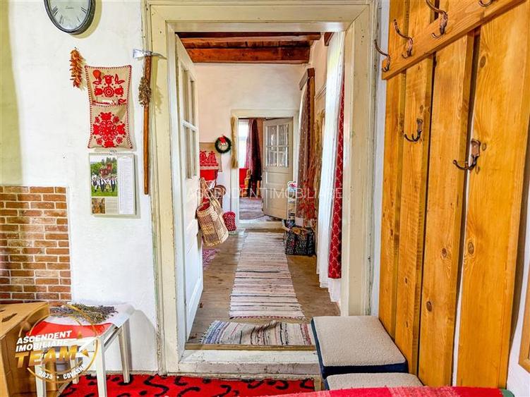 FILM! Proprietate traditionala,de poveste,cu 3.000 mp teren intravilan,Zagon,Cov - 26