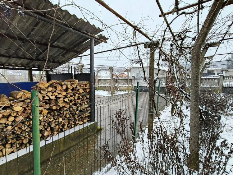 Proprietate rară – 2 case + livadă, vie și teren generos, la 20 km de Târgu Jiu - 13