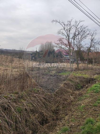 Teren 2.341 mp Uileacu de Munte front 26 ml la drum asfaltat - 4