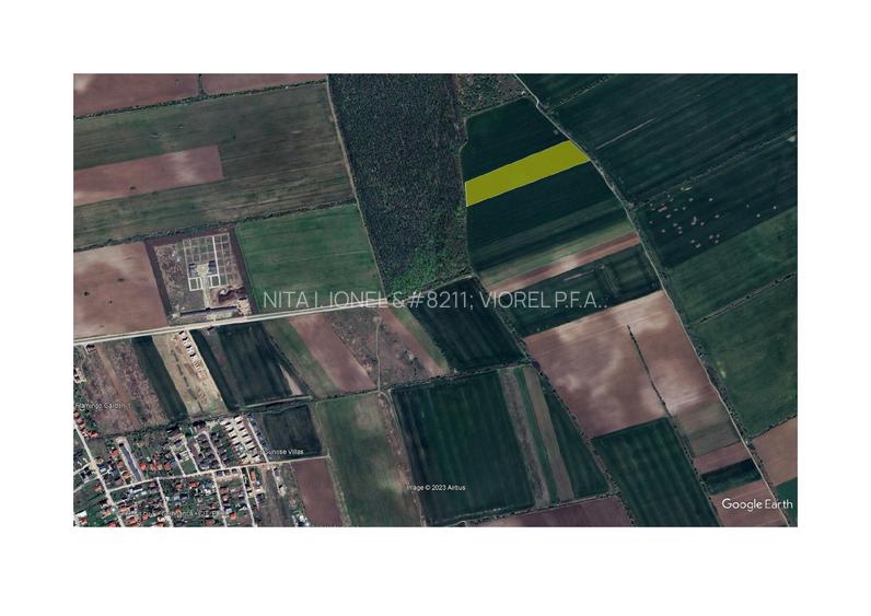 Teren Padurea Oracu - 2