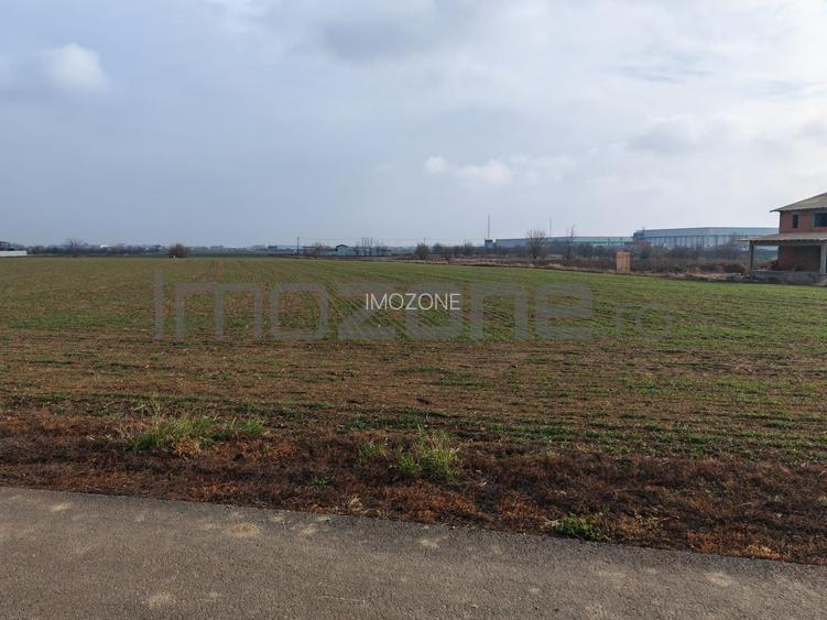 Dragomiresti Valea - Langa Centura, teren 15.600 mp, 35E/mp - 6