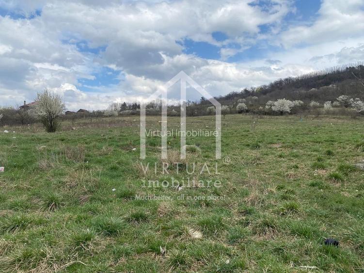 Teren intravilan de vanzare in Sibiu, suprafata 580 mp, Gusterita - 5