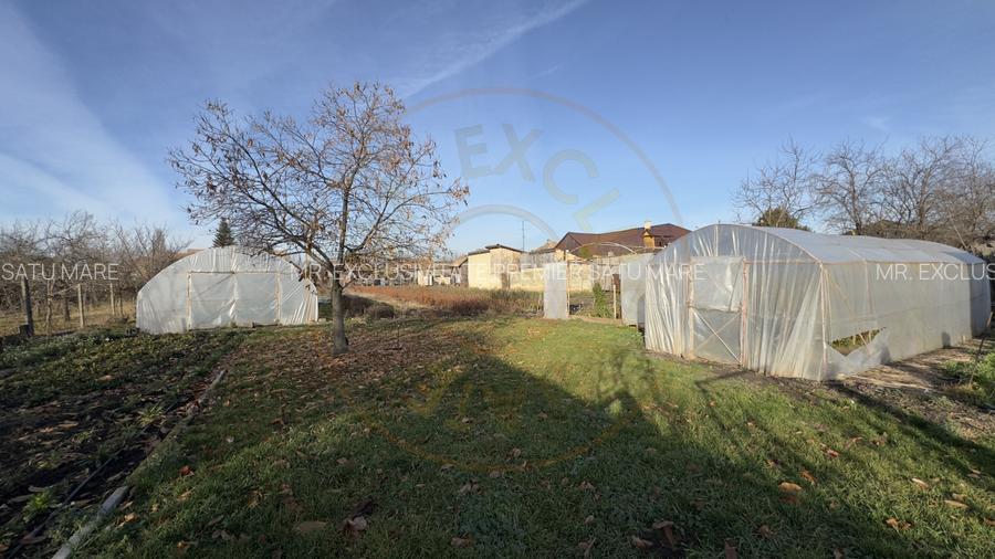 Casa 4 camere cu Teren 2.974 mp | Rezidenta sau afacere | Carei - 10