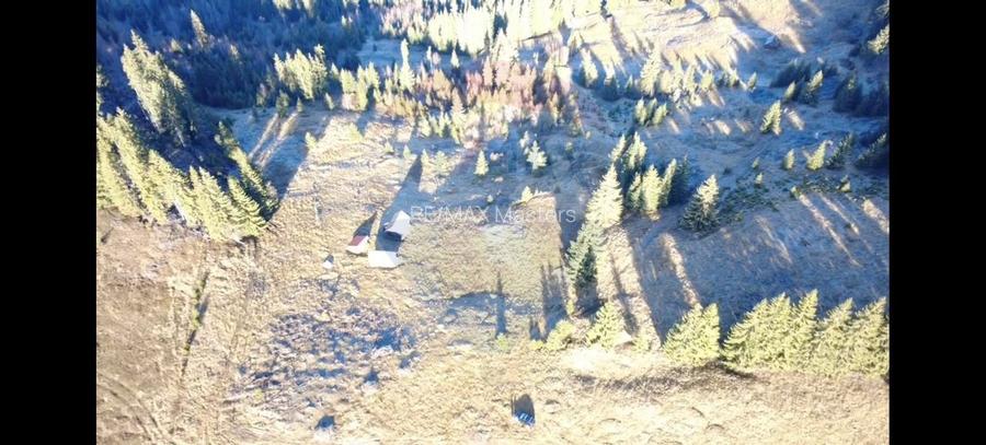 Teren 31,461mp Panaci / Prelungirea Ialovita - 4