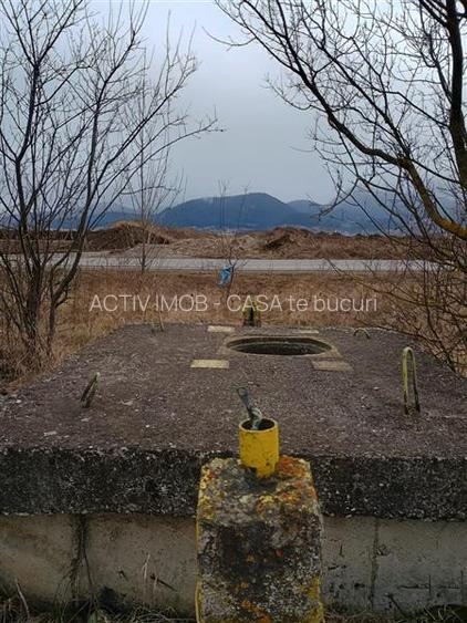 Teren 9000 mp Sacele Izvor, front 356 m la DJ 103A - 11