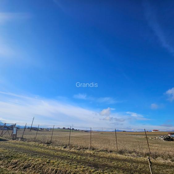 Teren intravilan - Halchiu, construire locuinte individuale - 4