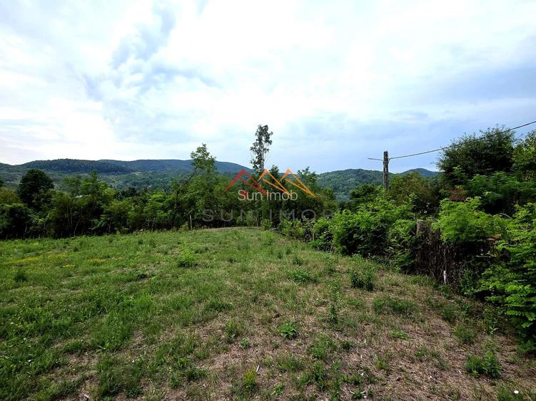 Teren Intravilan, utilitati in zona, 2600 mp, Draganeasa, Prahova - 2