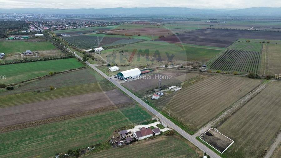 Teren 1,800mp Mircestii Vechi / DJ 204E - 2