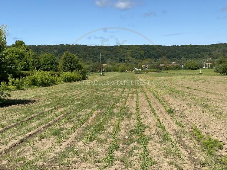 Teren intravilan 7.295 mp – Argeselu, Maracineni, AG - 7