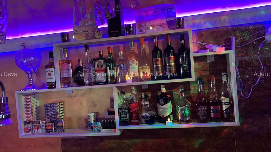 Vand pensiune in Dealu Mare (Comuna Valisoara), judetul Hunedoara, - 4