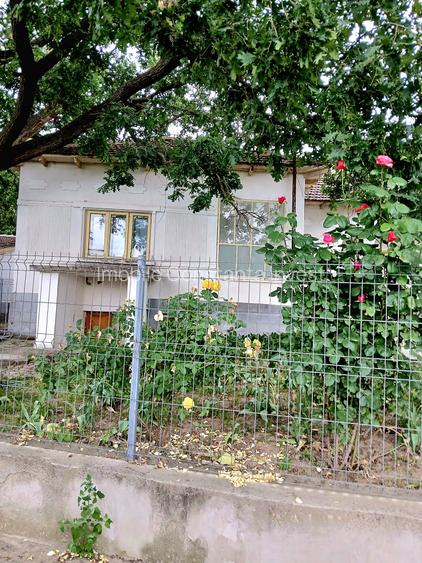 Seimenii Mari Casa 5 camere S.teren:4260 +vie+pomi fructiferi  vedere la Dunare - 17