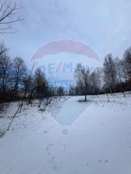 Teren de vanzare in Manastirea - 2