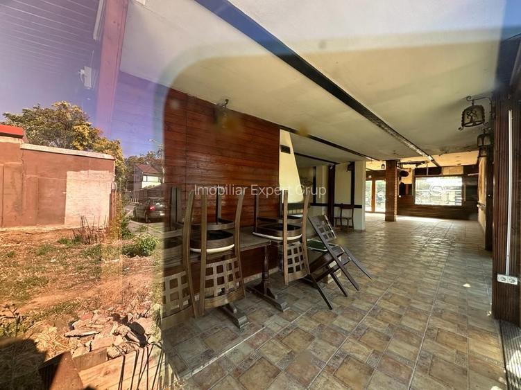 Zona Brancoveanu sp 130mp parter + curte - 7