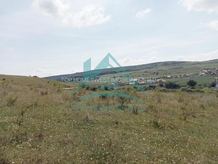 Oportunitate investiție! Teren extravilan &icirc;n Corușu! - 4