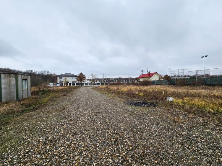 BALOTESTI- STRADA  MARGARETELOR - 3