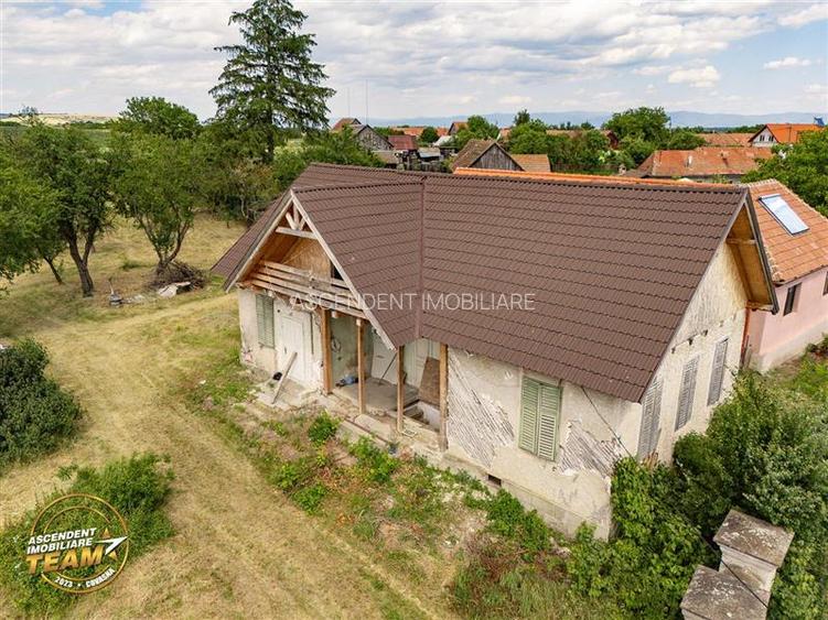 FILM! 2.700mp teren cu casa personalizabila, pomi fructiferi,langa Sfantu Gheorg - 8