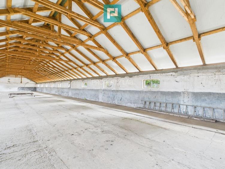 Hală pentru producție / fermă zootehnică  - Variaș - 12