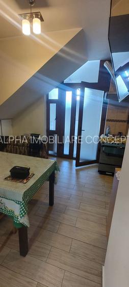 Vila / Pensiune Constanta Delfinariu 10 camere 530 mp teren - 7