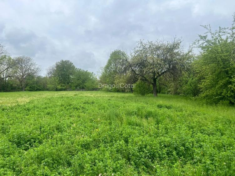 Teren de vânzare – Comuna Brebu, zonă centrală – 2700 mp - 4