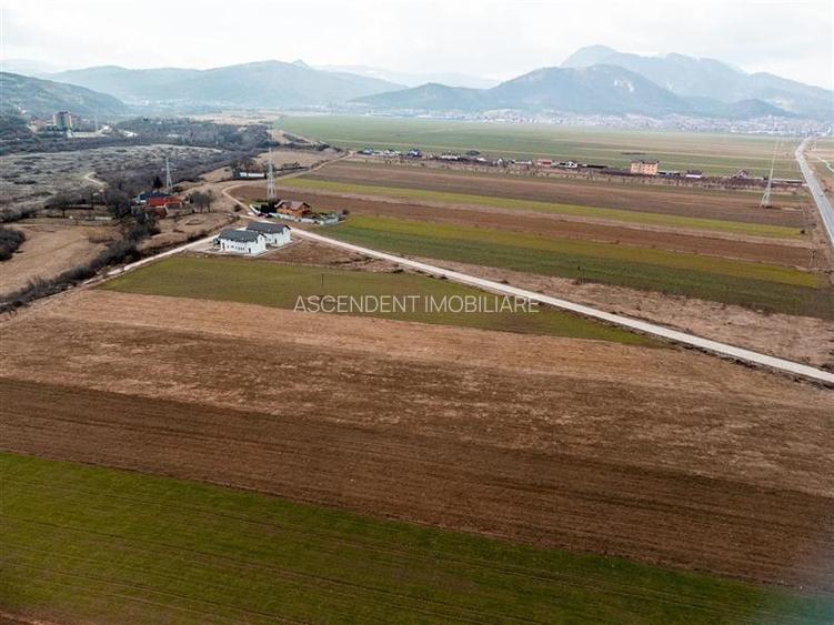 FILM! 5.500mp de inspiratie imobiliara, Tarlungeni,Brasov - 8