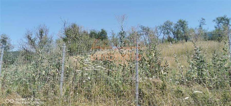 De vanzare casa si grajd +3000m² teren livada in Sumurducu - Sanpaul - 10