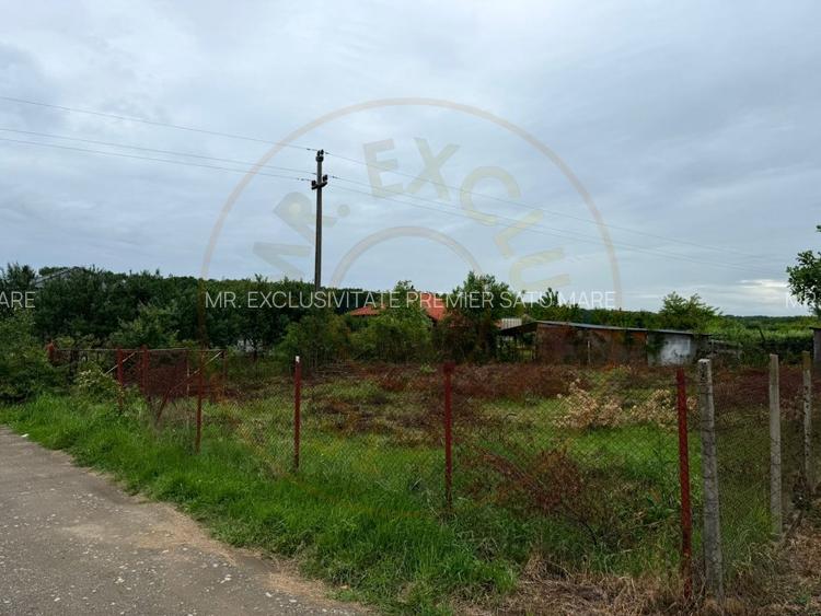 Teren Intravilan Padurea Noroieni - 4