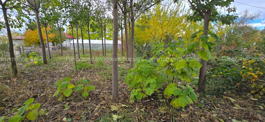 Teren  715  mp  intravilan Petresti - 11