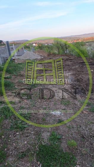 Teren intravilan - 1000 mp - Daia Noua - 3