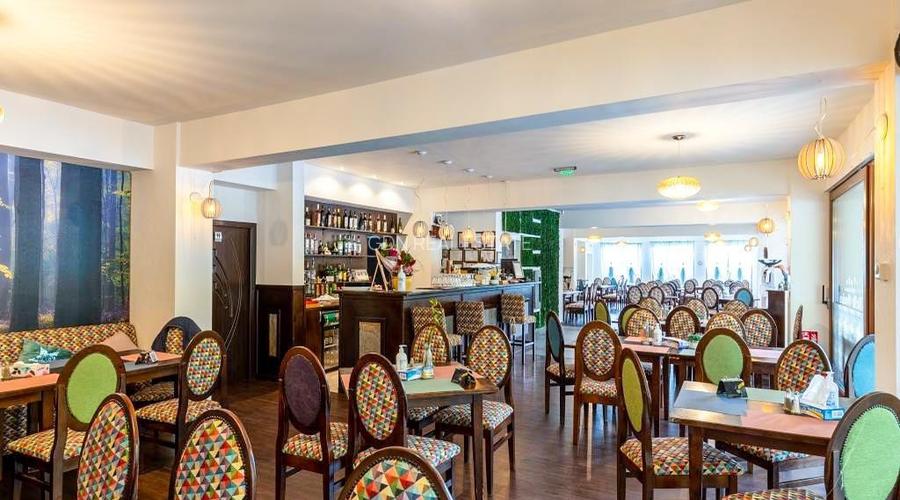 Proprietate mixta -spatiu comercial +rezidenta - 2