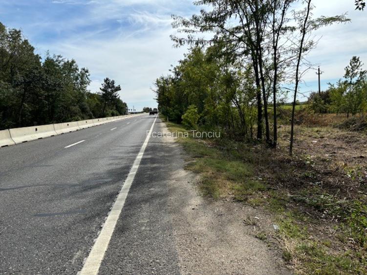 Teren de vanzare -32.130mp cu deschidere 105m la DN1, Ciolpani, cu PUZ. - 6