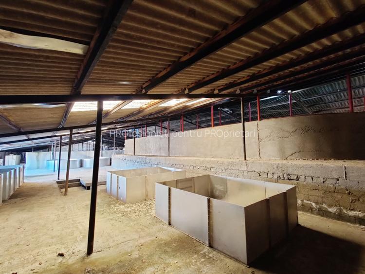 COMISION 0% Oportunitate de afacere/acvacultura in sistem RAS/3150 mp/Cisnadie - 8