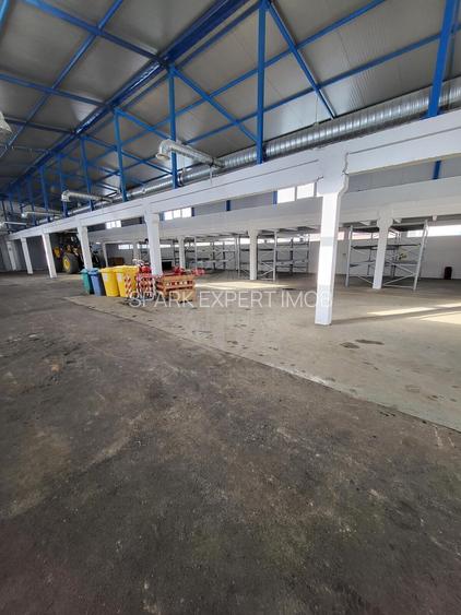 HALA 1800 MP//PLATFORMA BETONATA 5200 MP//ZONA BRAZI - 6