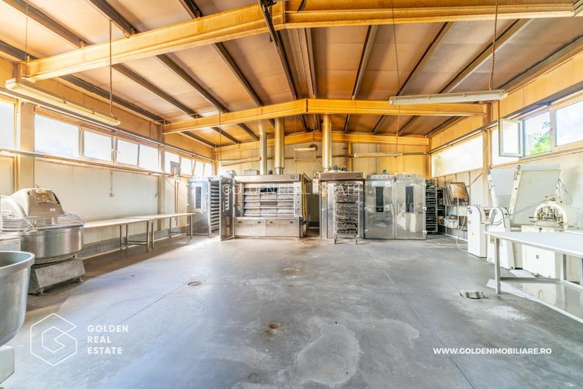 Locuinta de familie cu spatiu ideal pentru dezvoltarea unei afaceri - 14