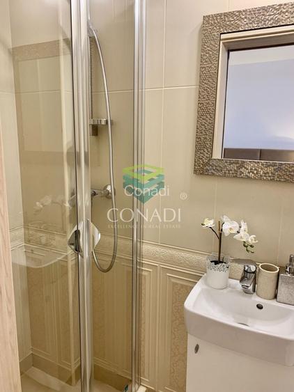 Apartament cu 3 camere Domenii - 19