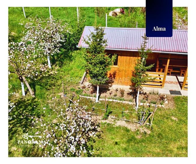 Teren Intravilan cu cabana  in satul transilvanean Alma - 6