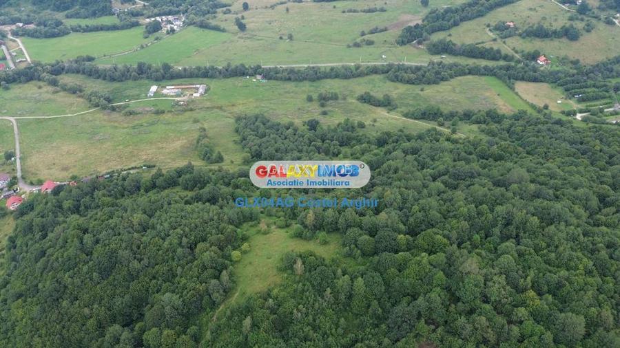 Vindem teren 20000 mp Cheile Rasnoavei - Brasov , pentru case vacanta - 5