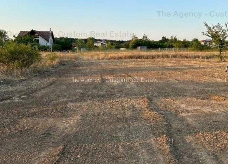 Teren 1200 mp (30x40) - Cartier Romatsa - 2