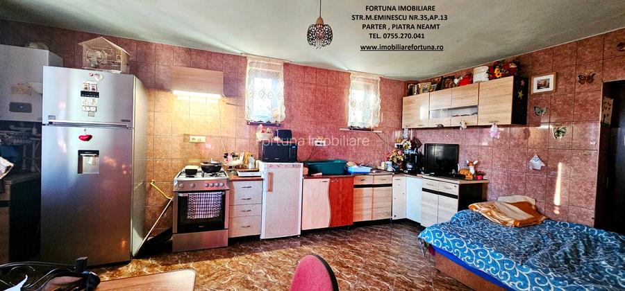 Casa individuala P+M,casa batraneasca locuibila si 805mp teren,Savinesti - 6