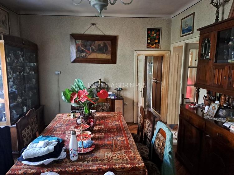 Cotroceni-Parcul Romniceanu, singur curte, garaj, curte generoasa - 18