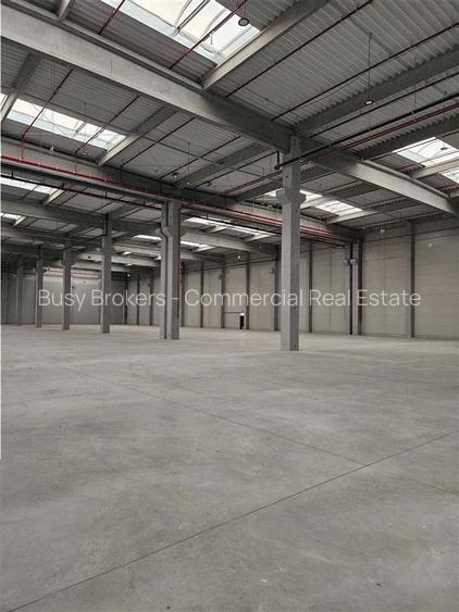 Spatiu Industrial - 9500 mp - Logistica - Depozitare - Distributie - 3