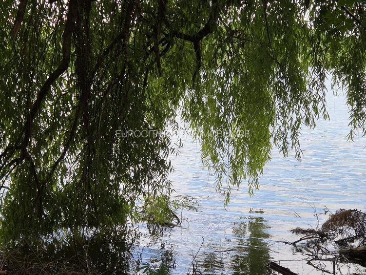 Vilă 7 camere de vânzare – Dârvari, Fundulea, Liniste I Natură I Lac - 7