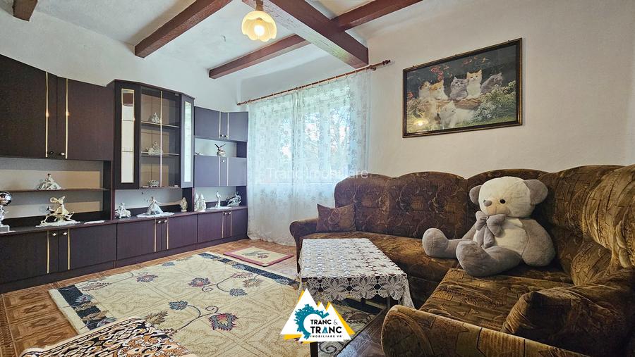 Casă cu 2 camere în stil tradițional, în Iratoșu - 10