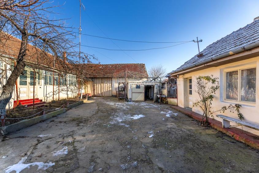 Gospodarie autentică bănățeană, cu teren generos și livadă – Frumușeni - 3