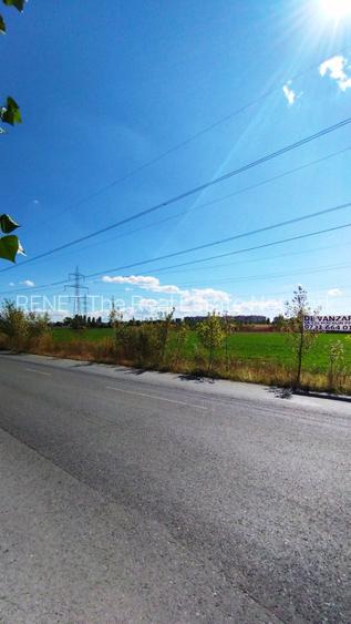 Terenuri intravilane 4550 MP, deschidere la stradă 30m - 2