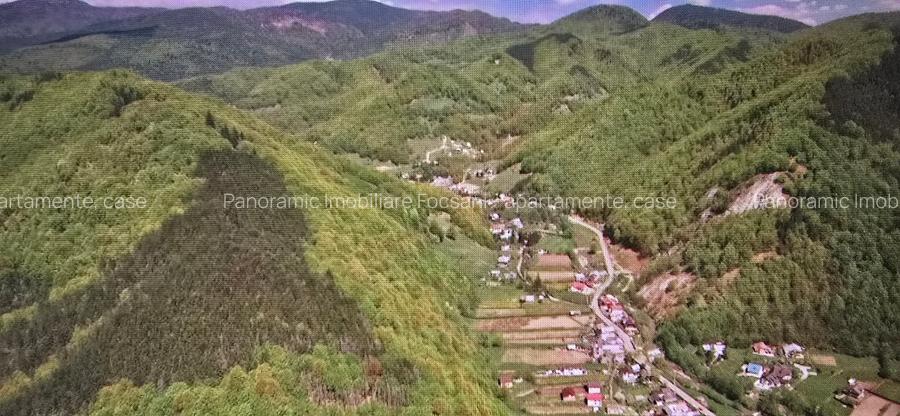 Teren de vanzare Lepsa-Gresu, 57000 mp, cu doar 1 euro/mp - 14