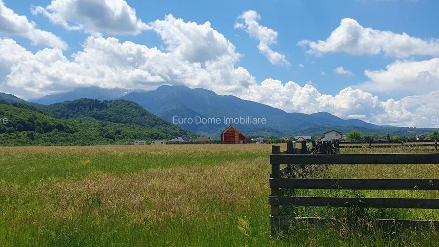 Rasnov -Glejarie 1000 mp front 42m posibilitate duplex sau 2 constructii - 4