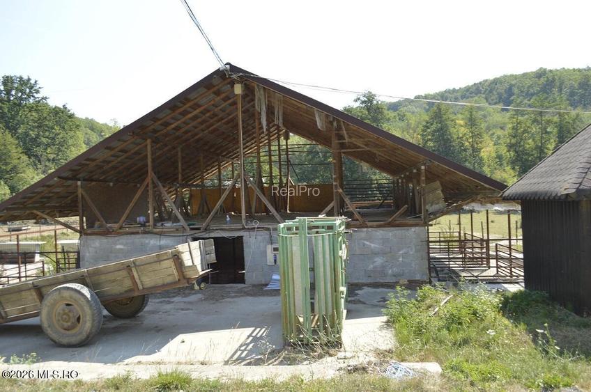 Bogati - Glimbocel, Ferma Zootehnica, Cladiri 1996 mp, Teren 4.89 ha - 21