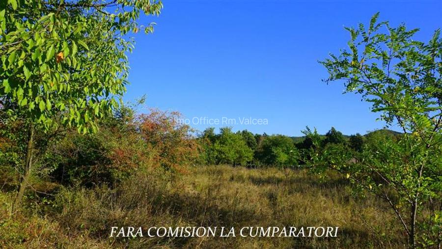 BUDESTI, TEREN 1000 MP, PRIVELISTE MINUNATA - 4