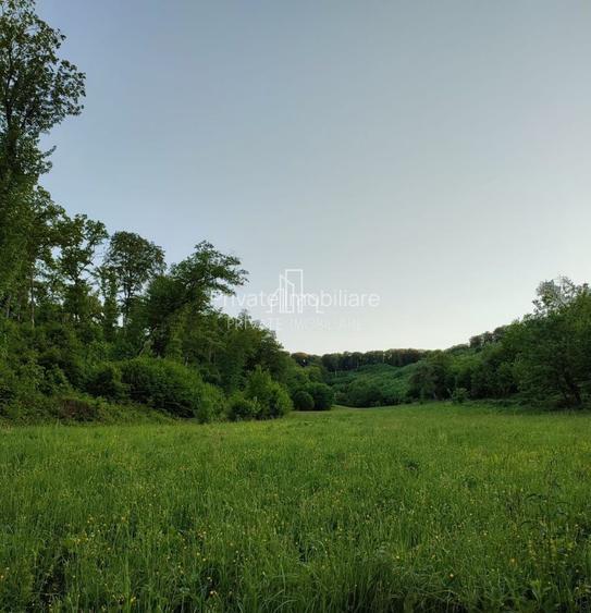 Teren de vanzare, 20.000Mp , Comuna Danes, drumul Crisului - 6